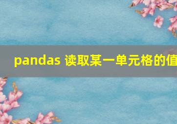 pandas 读取某一单元格的值